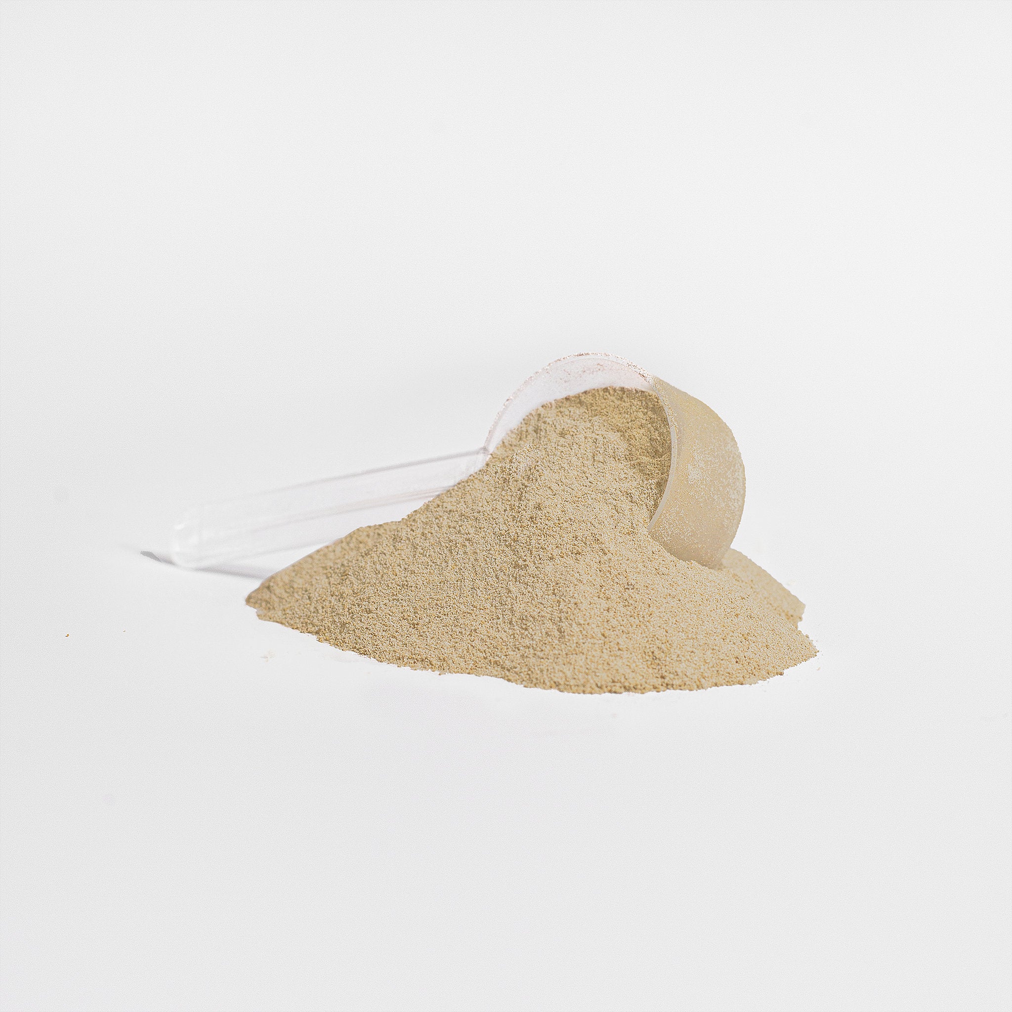 100% WHEY PROTEIN VANILLA
